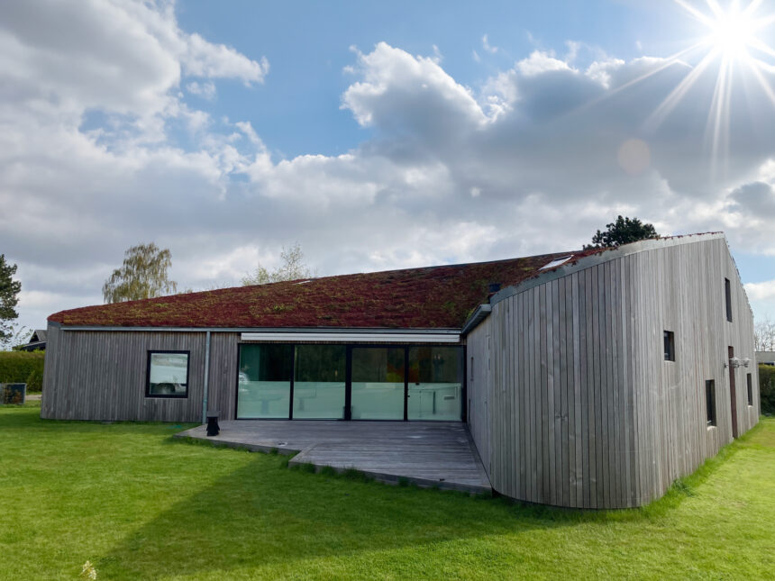 curved-wood-house_sunshine-and-lens-glare_redish_nature-roof