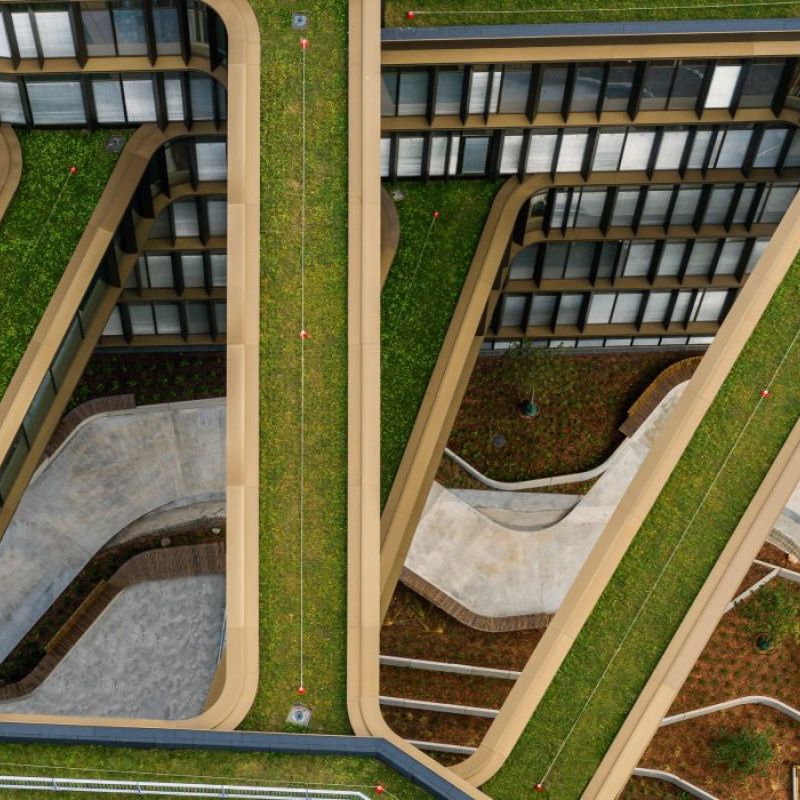 Grønt tag til Nexus CPH mellem Kalvebod Brygge og midtbyen