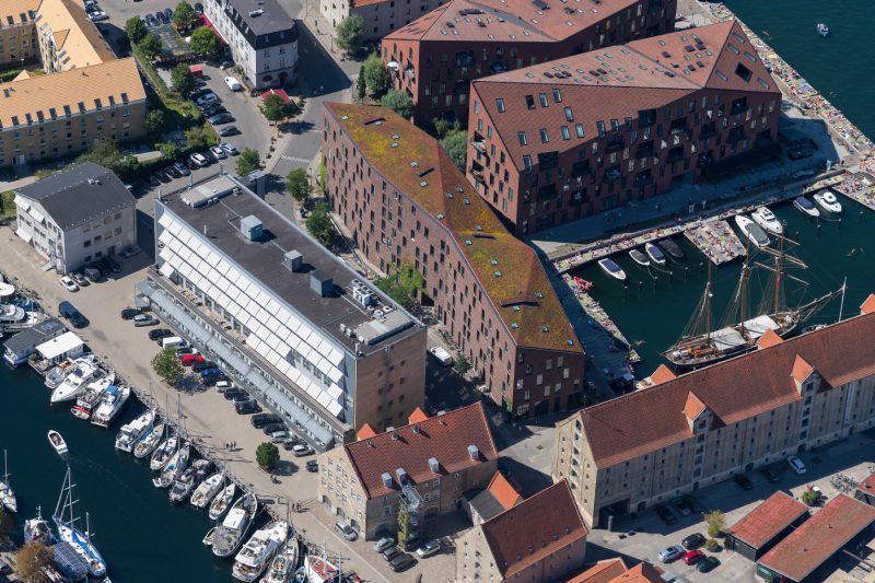 Sedumtag til Krøyers Plads i København