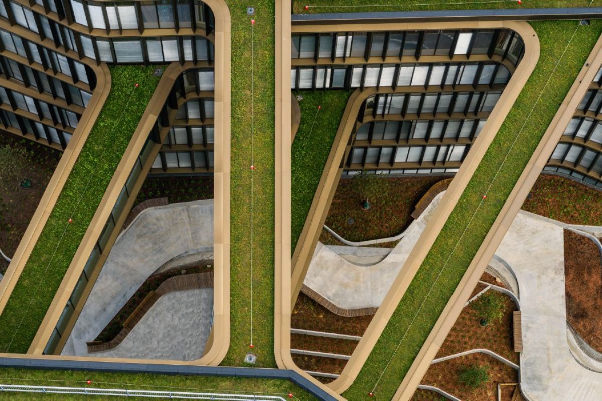 Sedumtag på Nexus CPH i København