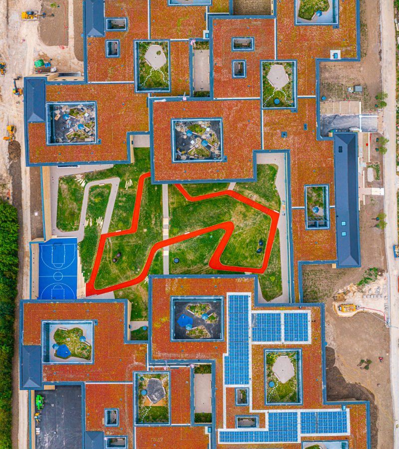 Sedumtage på det psykiatriske hospital Sct. Hans i Roskilde