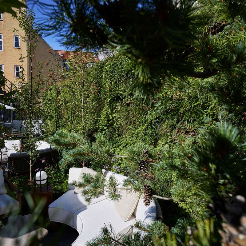 Naturlig udendørs plantevæg hos 1 HOTEL, COPENHAGEN