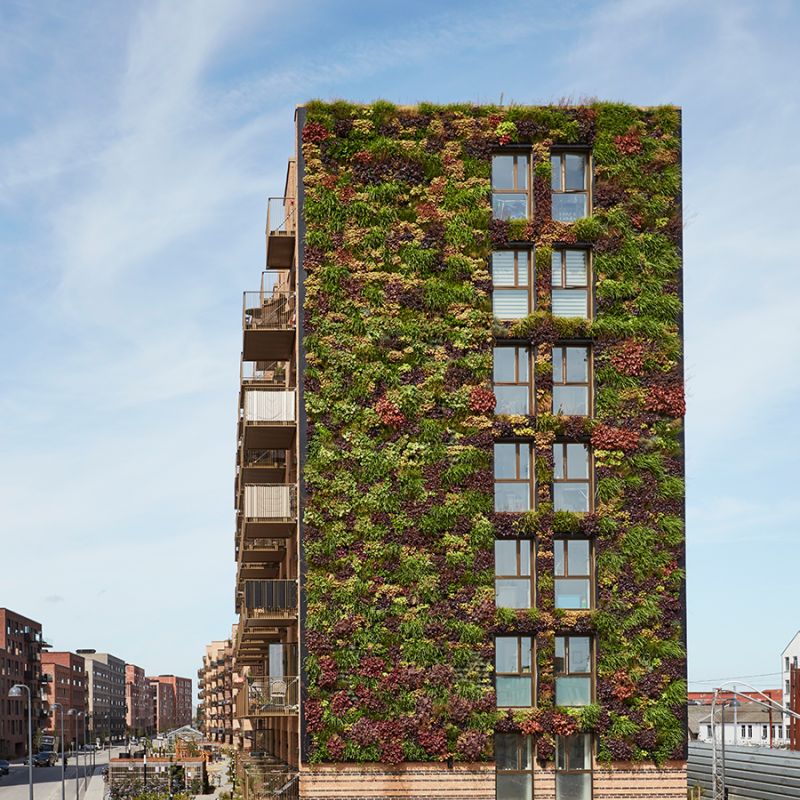 Udendørs plantevæg til Grønttorvet i Valby