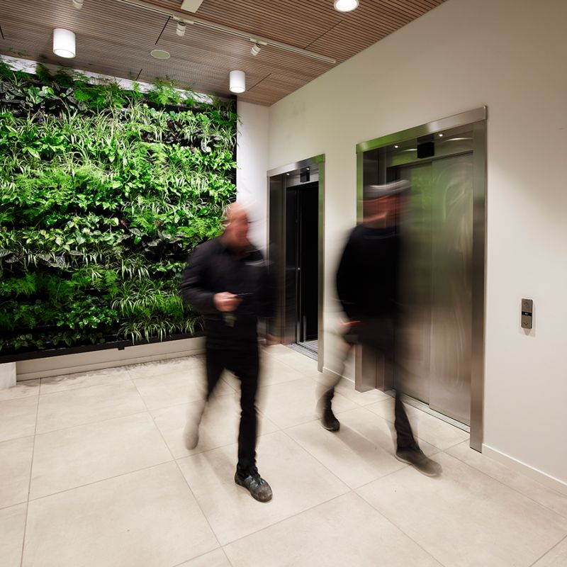 Indendørs plantevæg ved Ingcons elevator