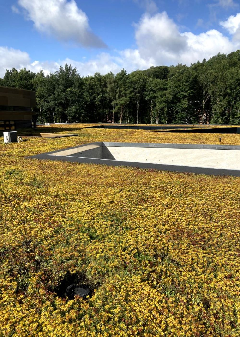 8.200 m2 grønt tag hos Vejle Psykiatri