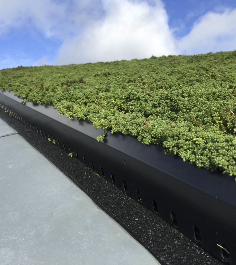 Grønt tag på ridehal på Fyn