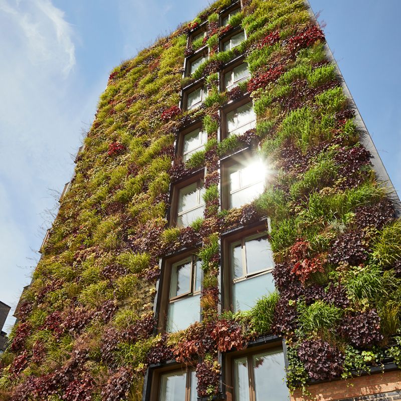 151 m² plantevæg i København