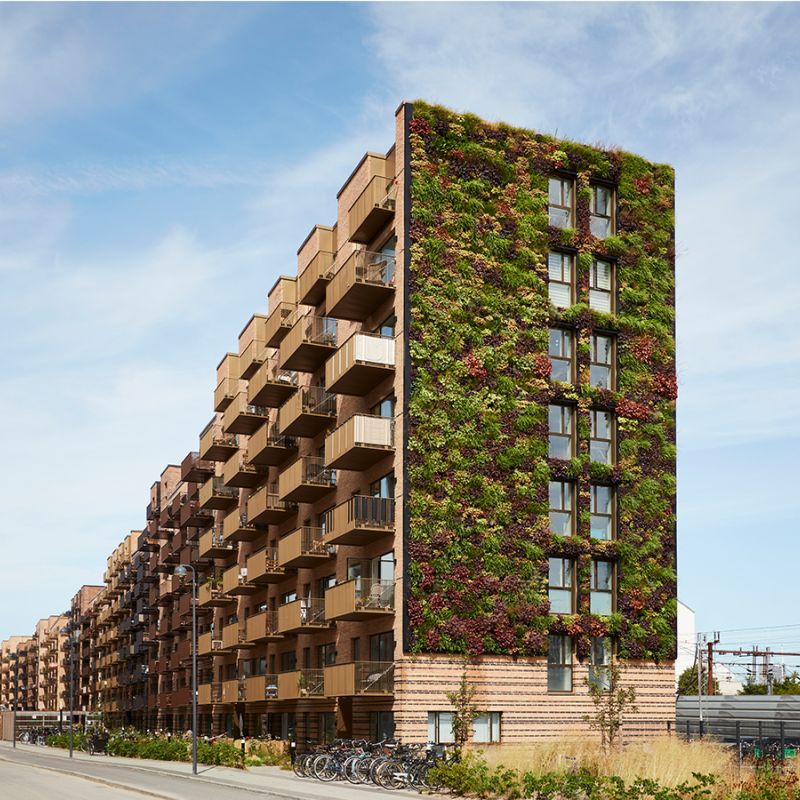 Den grønne væg på Grønttorvets facade